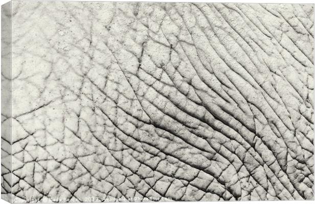 Elephant Skin Abstract Texture Background Canvas Print by Radu Bercan