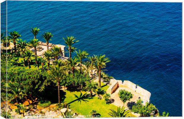 Aerial View Of Green Palm Trees And Blue Ocean Lan Canvas Print by Radu Bercan