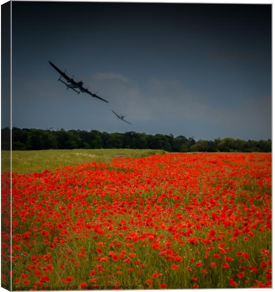 Lest we forget Canvas Print by Rob Lucas