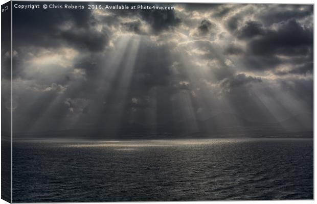 Ray of Light Canvas Print by Chris Roberts