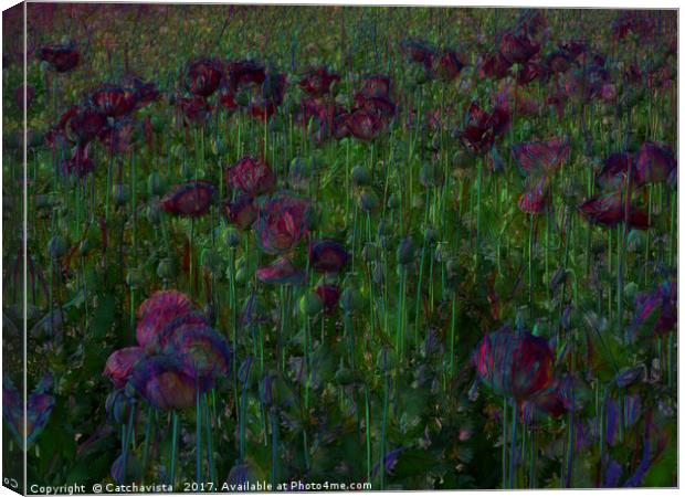 Poppy Meadow Canvas Print by Catchavista 