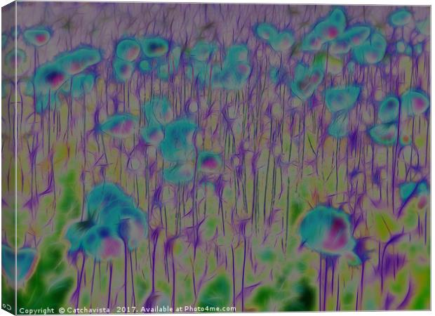 Enchanted Blue Poppy Field Canvas Print by Catchavista 