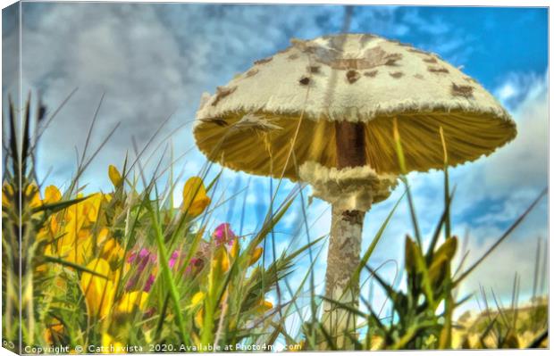 Summer's Whisper: Meadow Mushroom Canvas Print by Catchavista 