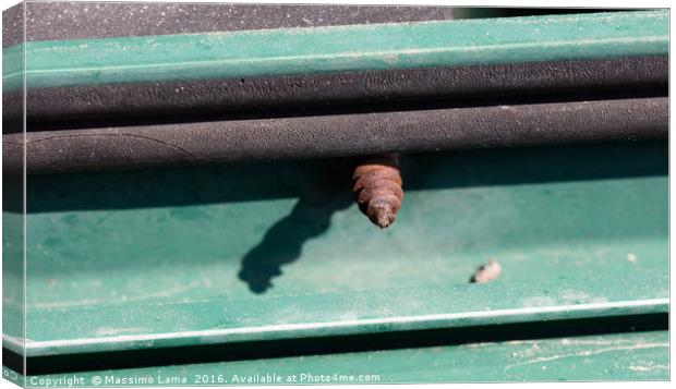 Tip of rusted screw Canvas Print by Massimo Lama