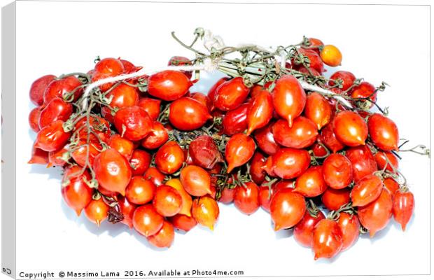 Tomatoes of Vesuvius Canvas Print by Massimo Lama