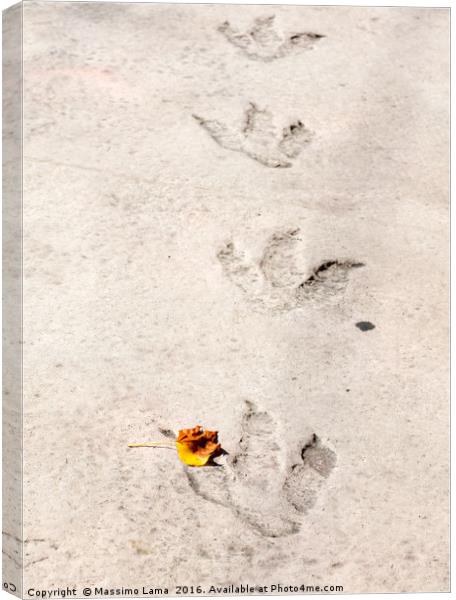 Dinosaur footprints Canvas Print by Massimo Lama