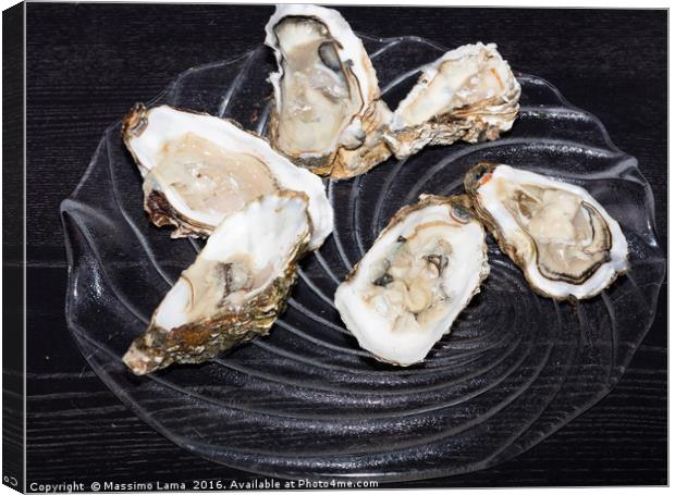 Oysters  still life Canvas Print by Massimo Lama