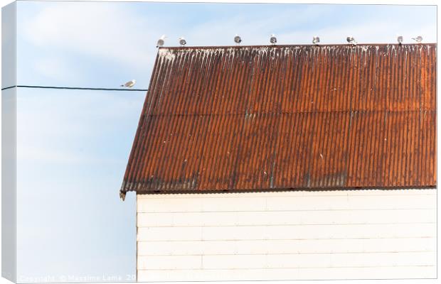 Seagulls on a roof Canvas Print by Massimo Lama