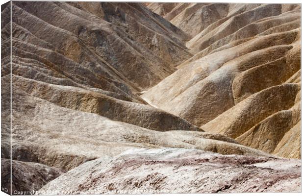 Death Valley,  California, USA Canvas Print by Massimo Lama