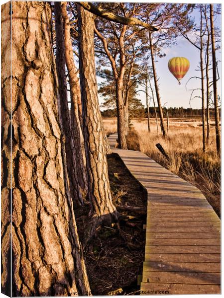 Balloon flight over Thursley Nature Reserve Canvas Print by Julian Paynter