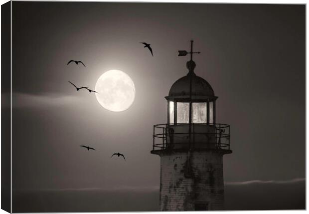 Moonlight Canvas Print by Kevin Elias