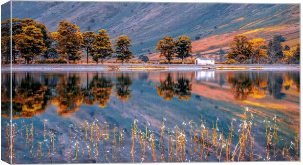 Enchanted Pines, Lake District Canvas Print by Kevin Elias