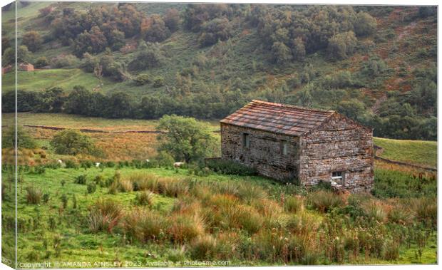 Stone Barn at Angram in The Yorkshire Dales Canvas Print by AMANDA AINSLEY