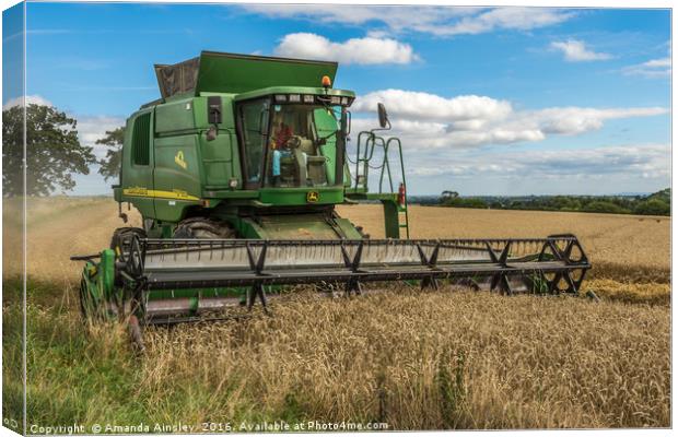 Harvest Time in Teesdale Canvas Print by AMANDA AINSLEY
