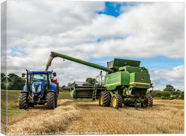 Harvesting at Brignall in Teesdale Canvas Print by AMANDA AINSLEY