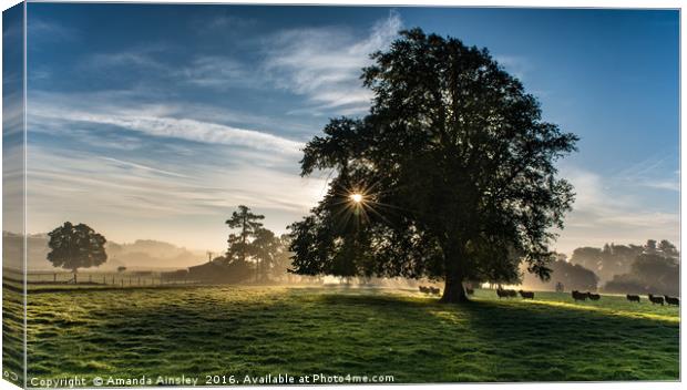 Misty Morning in Teesdale Canvas Print by AMANDA AINSLEY