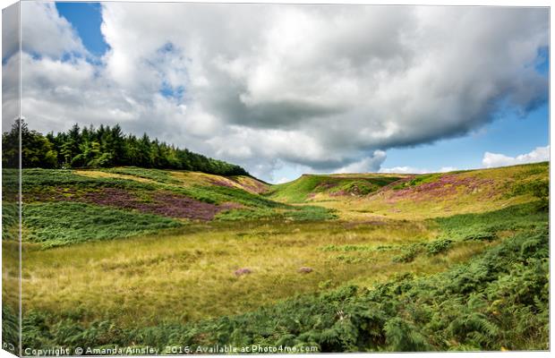 Dead Horse Ghyll Canvas Print by AMANDA AINSLEY