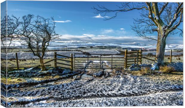 A Winters morning Canvas Print by AMANDA AINSLEY