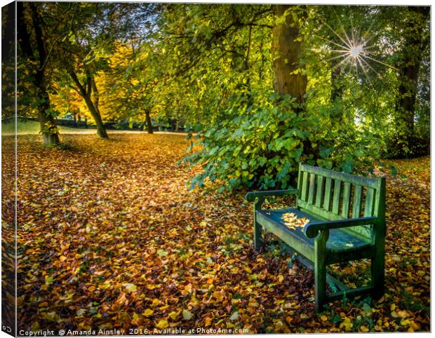 Autumn Resting Place Canvas Print by AMANDA AINSLEY