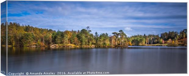 Tarn Hows Panorama Canvas Print by AMANDA AINSLEY