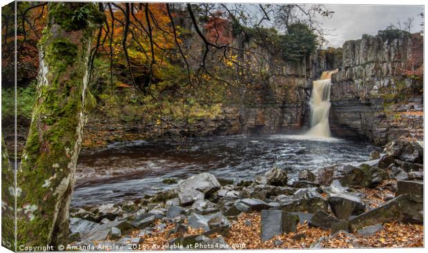 High Force in Teesdale Canvas Print by AMANDA AINSLEY