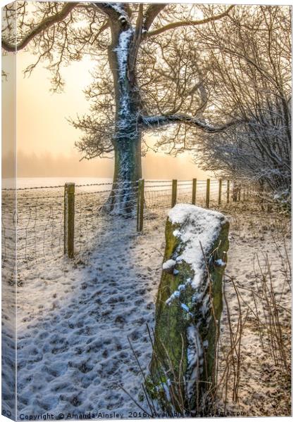 Misty Winters Day Canvas Print by AMANDA AINSLEY