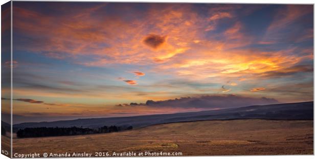 Sunrise at The Stang Forest Canvas Print by AMANDA AINSLEY