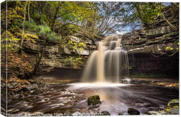 Autumn at Summerhill Force in Teesdale Canvas Print by AMANDA AINSLEY