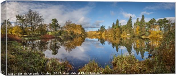 Lartington Low Pond in Autumn Splendour Canvas Print by AMANDA AINSLEY
