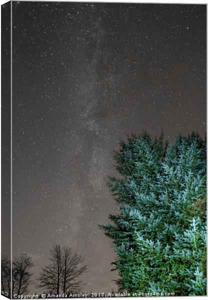 The Milky Way  Canvas Print by AMANDA AINSLEY