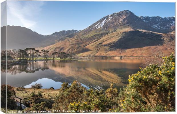 Springtime in Buttermere Canvas Print by AMANDA AINSLEY