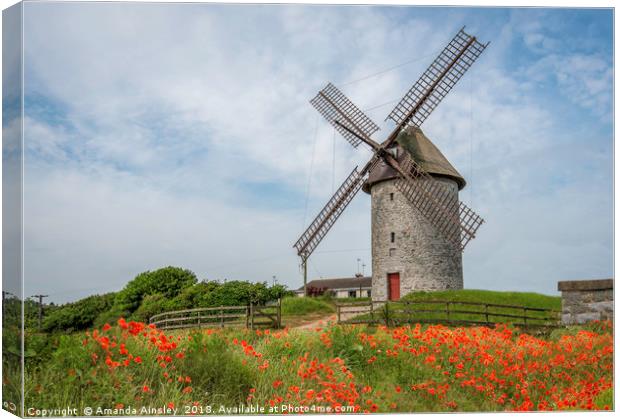 The Majestic Beauty of Skerries Windmill and Poppi Canvas Print by AMANDA AINSLEY