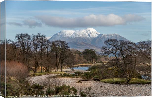Majestic Ben Nevis rises in Spring Canvas Print by AMANDA AINSLEY