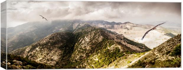 Buzzards in Calamorro Mountains Canvas Print by Keith Harris