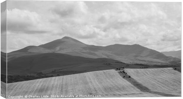 Skiddaw Canvas Print by Charles Little
