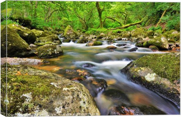            The Plym, Shaugh Prior                  Canvas Print by philip myers