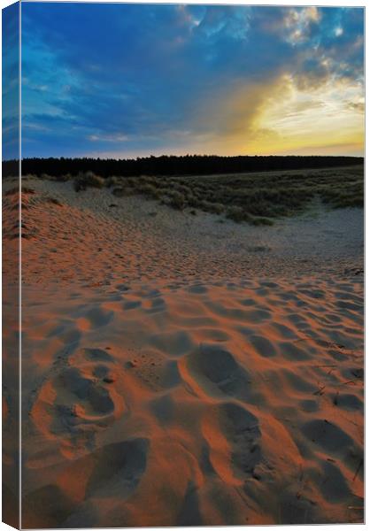   Footprints in the sand                           Canvas Print by philip myers