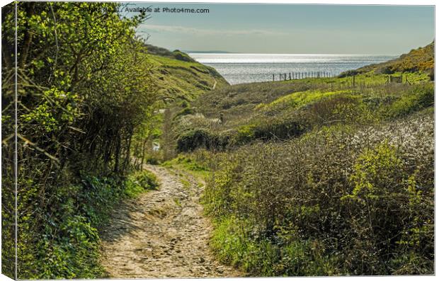 View towards the sea at Monknash Glamorgan Coast Canvas Print by Nick Jenkins