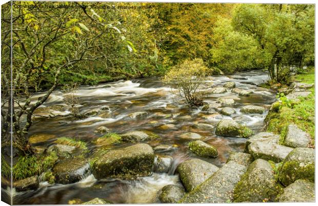 The East Dart River at Badgers Holt Dartmeet Dartm Canvas Print by Nick Jenkins