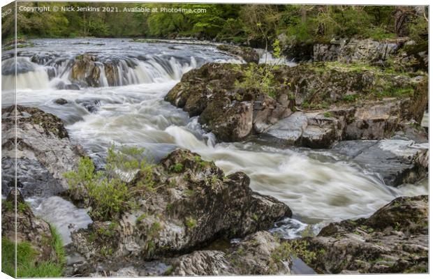 Cenarth Falls Pembrokeshire Carmarthenshire Border Canvas Print by Nick Jenkins