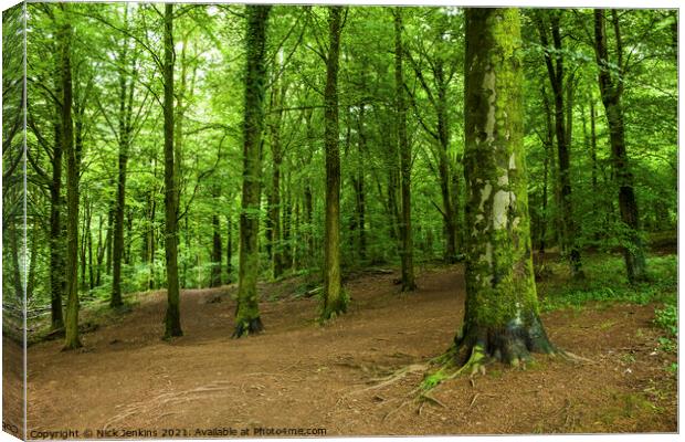 Fforest Fawr near Cardiff South Wales Canvas Print by Nick Jenkins