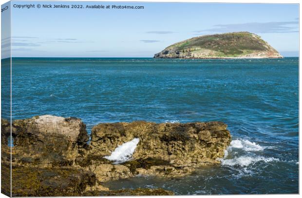 Puffin Island off Penmon Point Anglesey Canvas Print by Nick Jenkins
