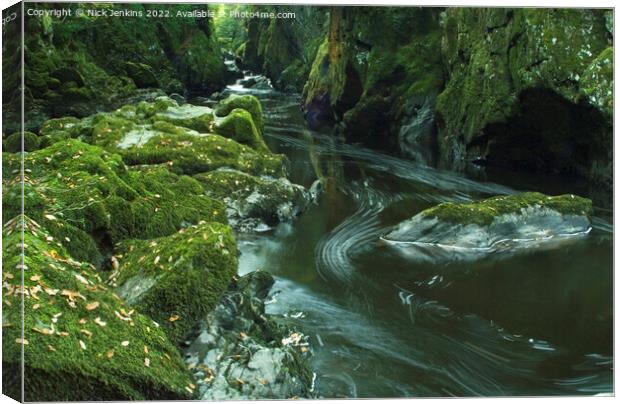 Fairy Glen River Conwy Betws y Coed North Wales  Canvas Print by Nick Jenkins