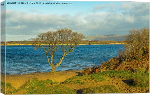 The Solitary Tree Kenfig Pool south Wales Canvas Print by Nick Jenkins