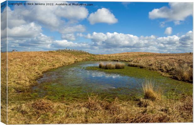 The Great Cairn and Pond Cefn Bryn Gower Canvas Print by Nick Jenkins