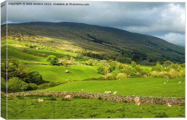 Howgill Fells from Garsdale Road Cumbria  Canvas Print by Nick Jenkins