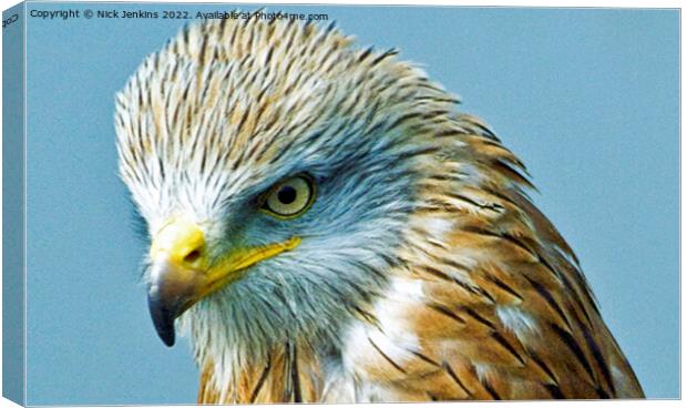 Red Kite Face Close Up  Canvas Print by Nick Jenkins