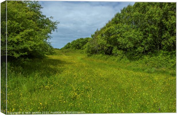 Pathway Through the Dunes at Kenfig Canvas Print by Nick Jenkins