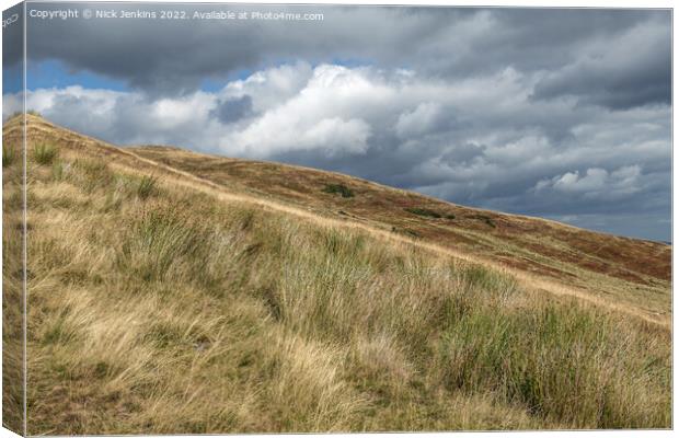 Slopes of Mynydd Tor y Foel Brecon Beacons Canvas Print by Nick Jenkins