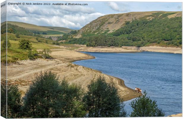 Pen y Garreg Reservoir and a Group of Cows  Canvas Print by Nick Jenkins